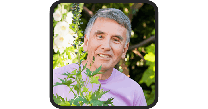 pineal pure review 1